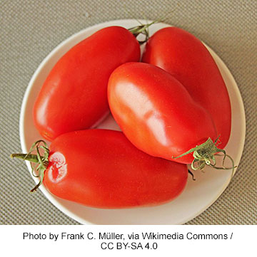 San Marzano Tomatoes