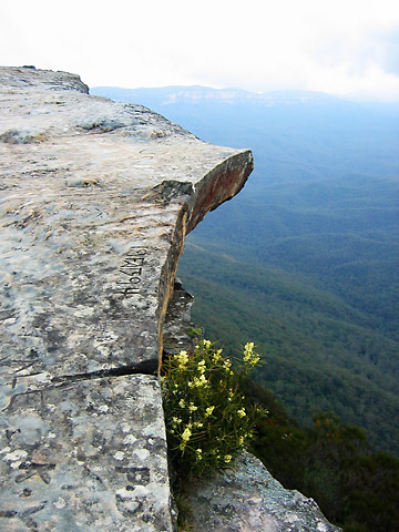 view of the Blue Mountains from a lookout ledge