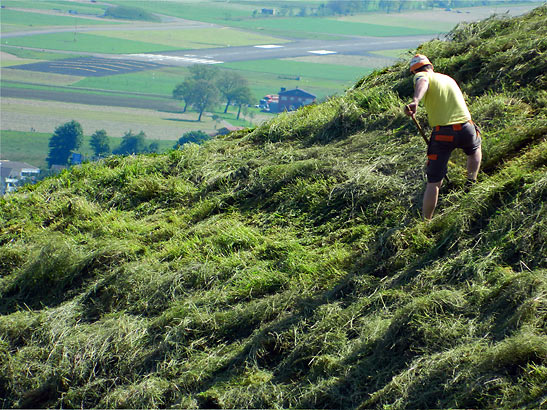 local guy collecting hay at a hillside