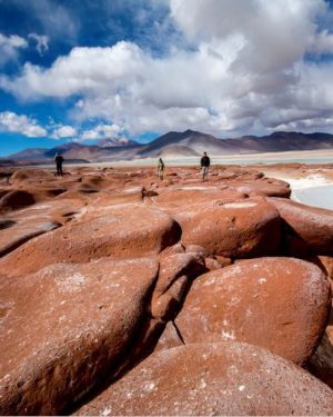Piedras Rojas + Lagunas Altiplânicas