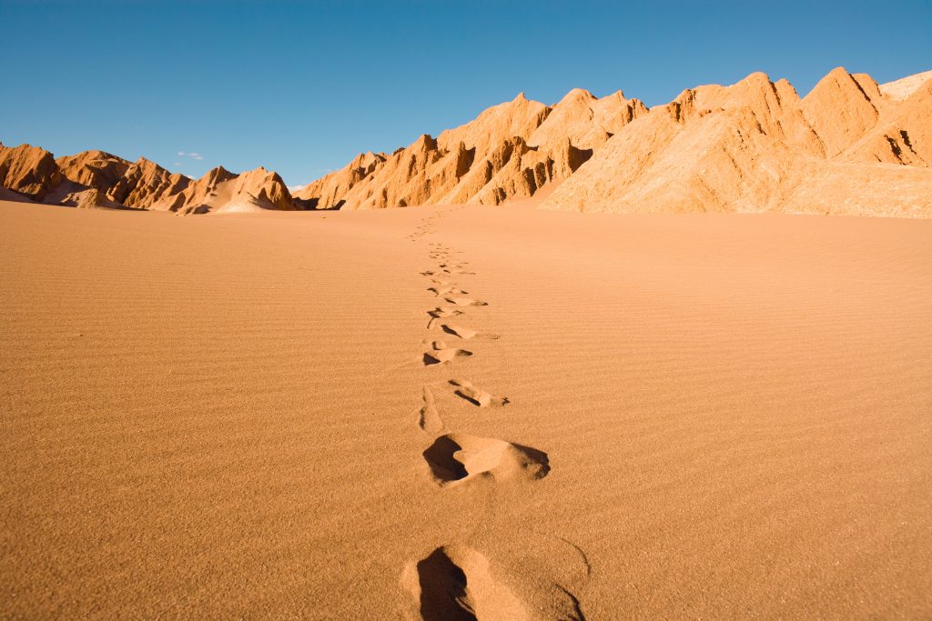 pegadas no valle de la muerte no atacama