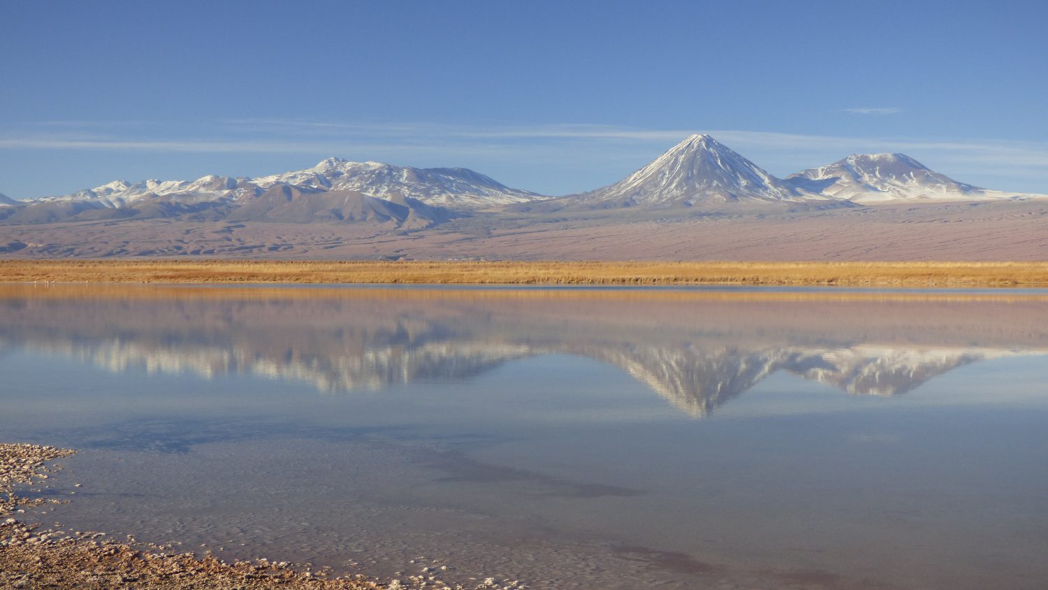 Laguna Cejar