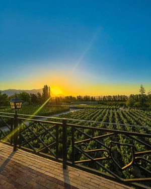 Alyan sunset vinicola santiago 5