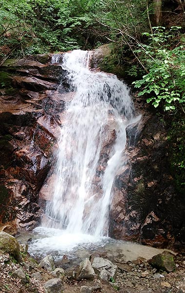 waterfall in a Japanese forest