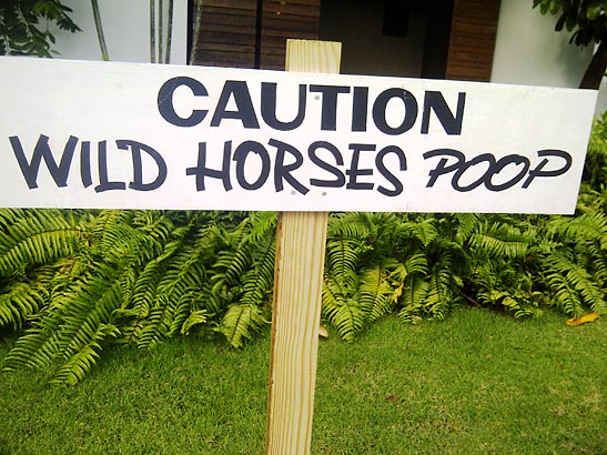 warning sign at rhe W Hotel, Vieques