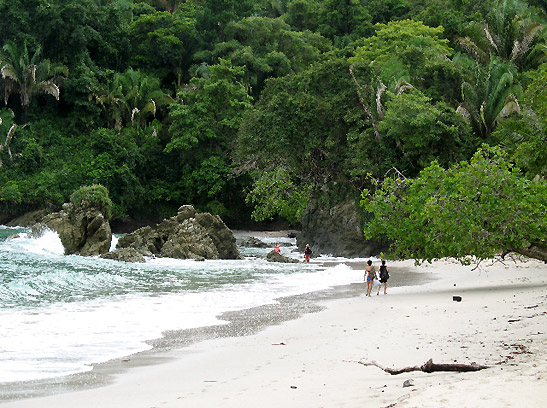 beach in Manuel Antonio