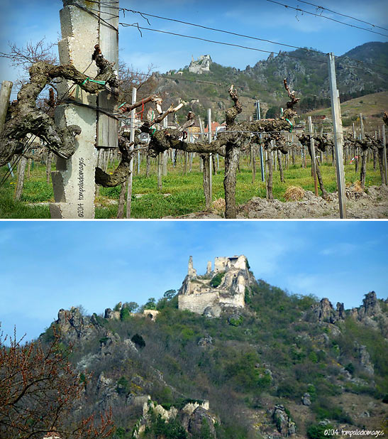 views of Dürnstein's Kuenringer Castle ruins