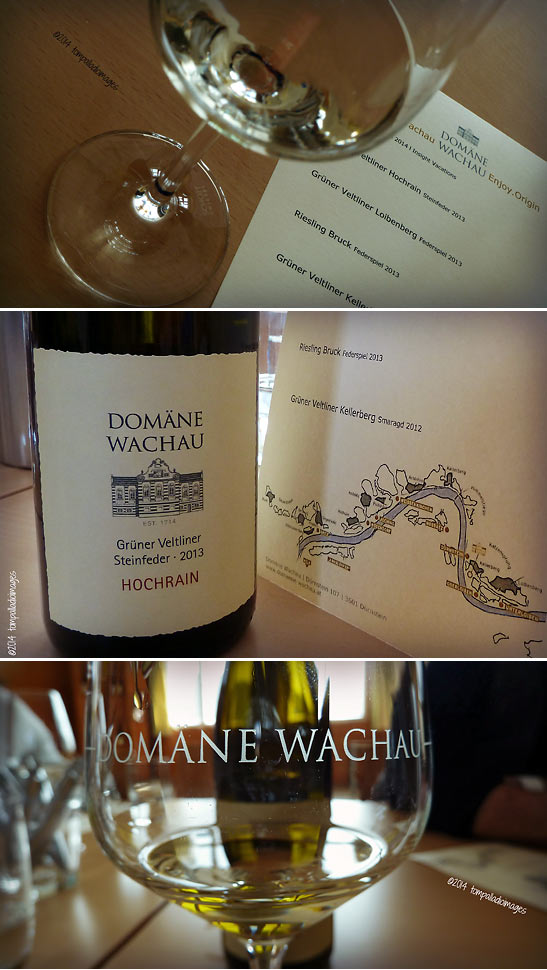 wine tasting