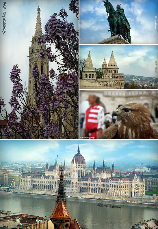 Buda's Castle District showing Matthias Church, Stephen I on horseback, the Fisherman's Bastion and the Hungarian Parliament Building