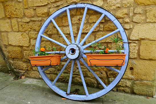 potted plants on a wheel, Domme