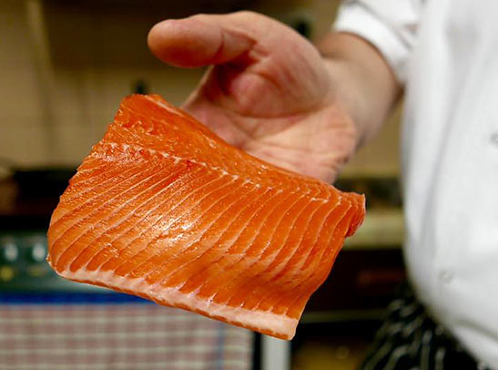 salmon at the 19th Green