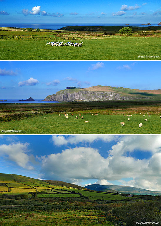 the scenery along R559