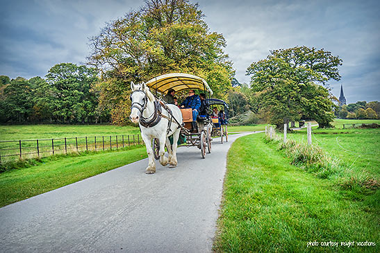 the writer and fellow travel writers on a carriage at Killarney National Park