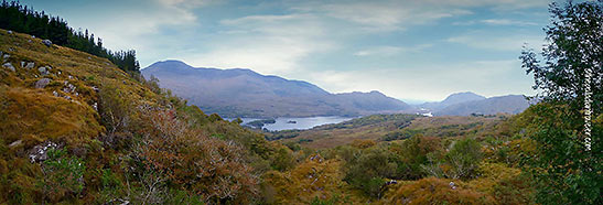 Ladies View