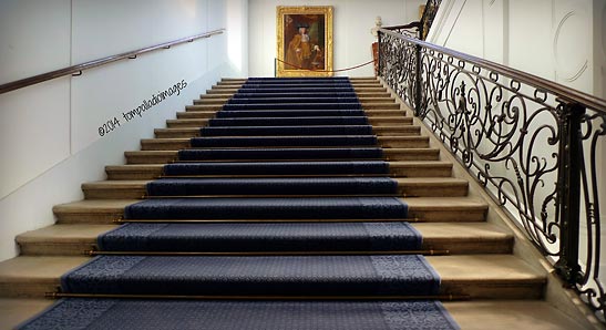 carpeted stairs at the Schonbrunn Palace