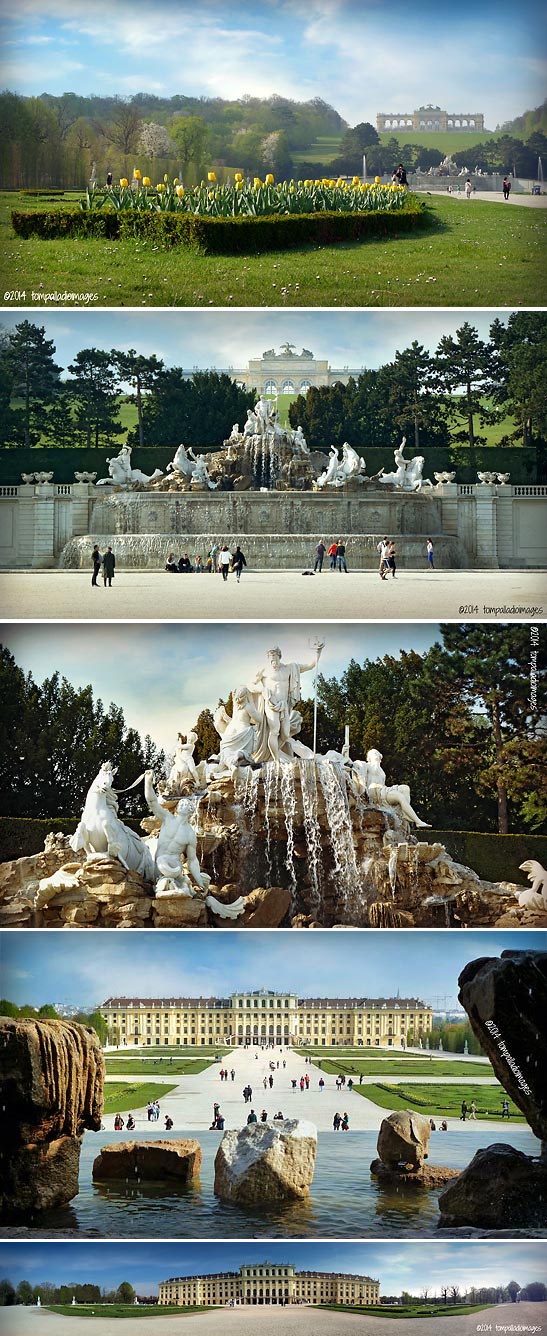 more scenes at the Schonbrunn Palace