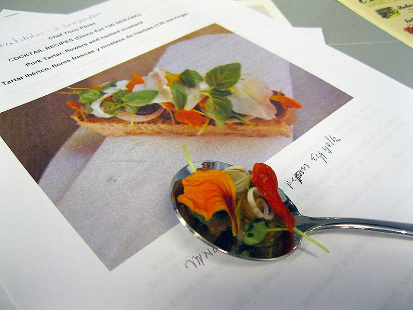 finished tapas on a spoon sans bread with a picture of the original