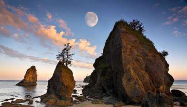 Olympic Coastline