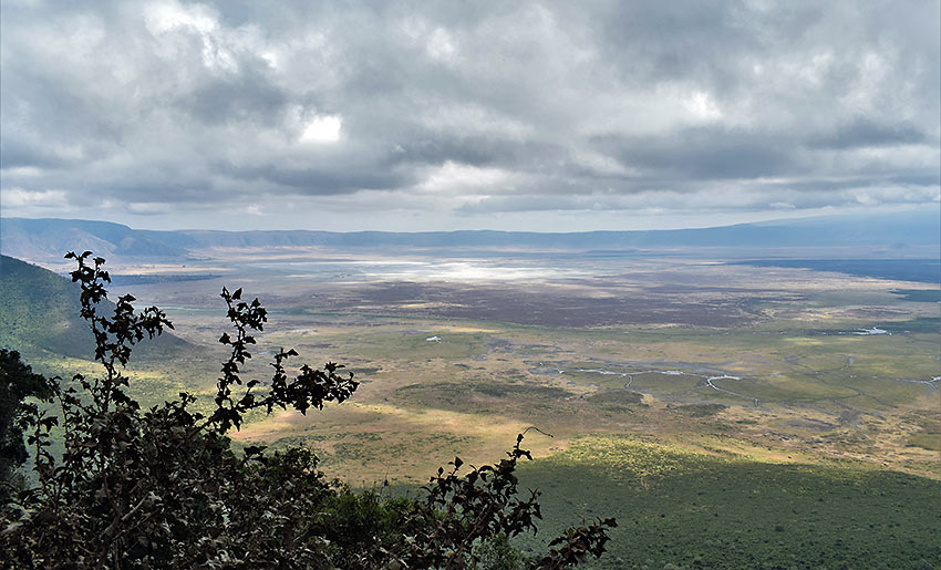 panoramic view of Ngorongoro Conservation Area