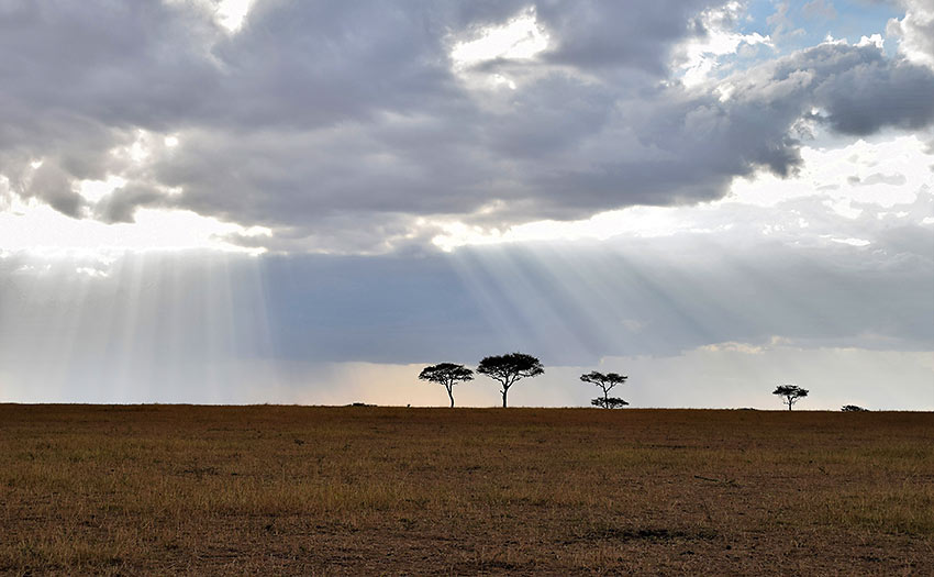 Serengeti skyline
