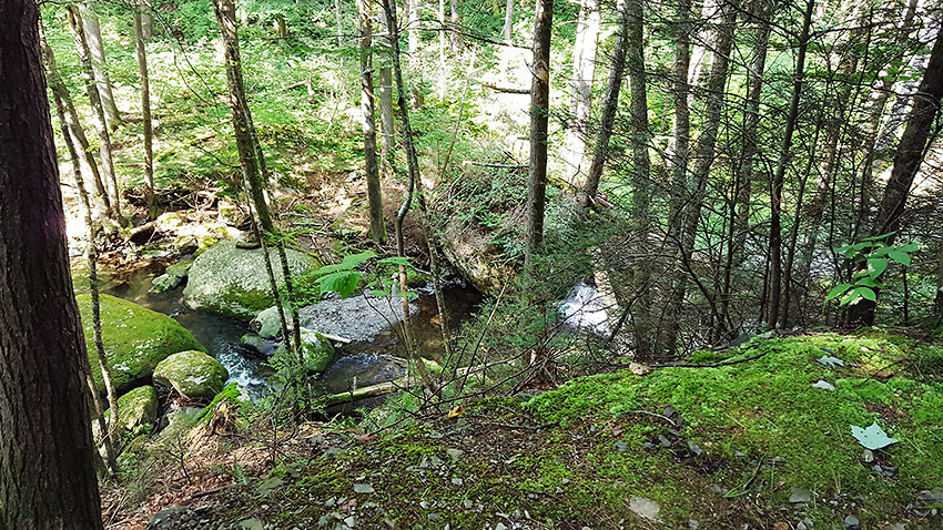 view along intermediate hike