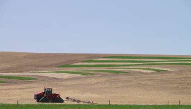 combine on a Palouse field