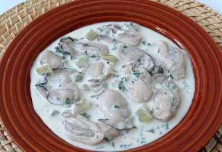 New England oyster stew
