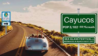 Cayucos and Sea Glass Festival road sign
