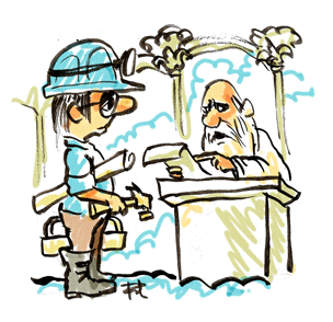 contractor preview
