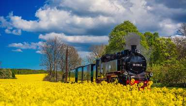 Rasender Roland Train
