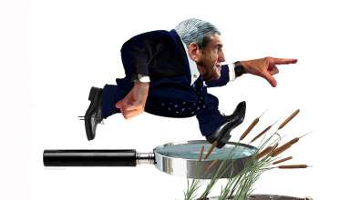 Robert Mueller: Into the Swamp, by Nancy Ohanian
