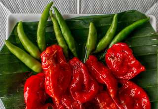 Bhut Jolokia or Ghost Peppers