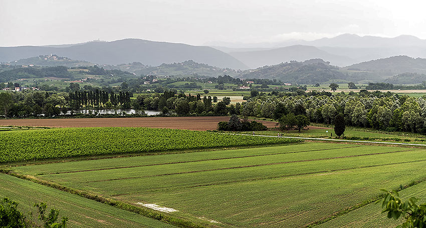the Russiz Superiore Winery