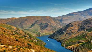 vineyards along the steep banks of Portugal’s Douro River