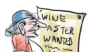 wine taster preview