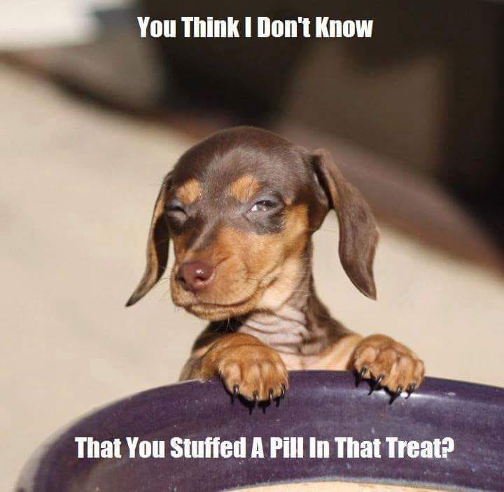 Parting Shot: You Think I Don't Know