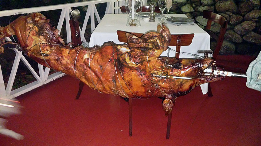 roast pig