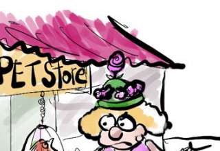 Pet Shop Incident preview