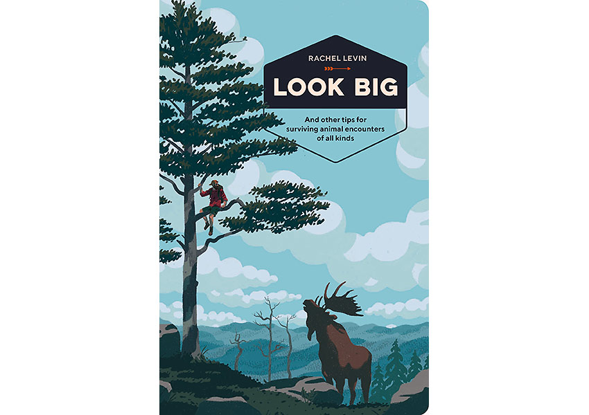Look Big blook cover