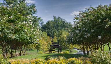 internationally recognized Loudoun County horse country