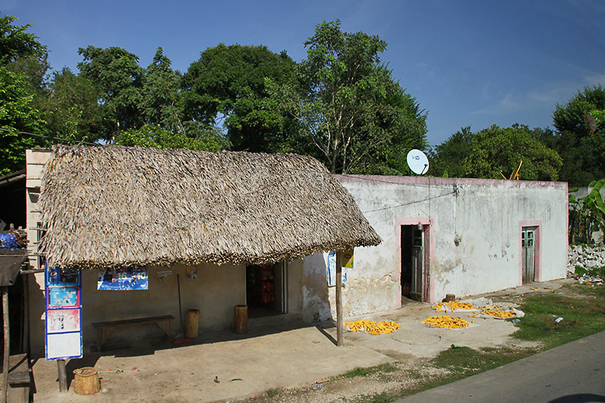 simple modern-day Maya village, with maize drying in the sun