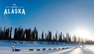 dog mushing in Alaska