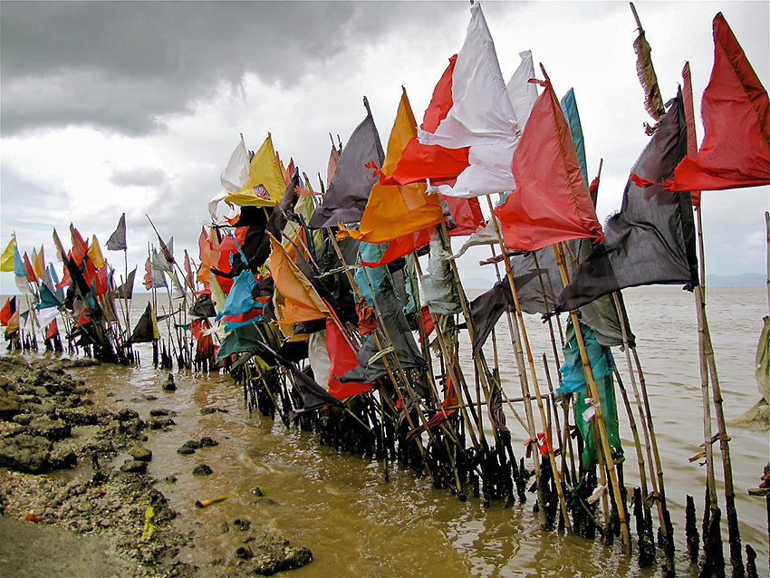 bamboo poles with flags used as markers