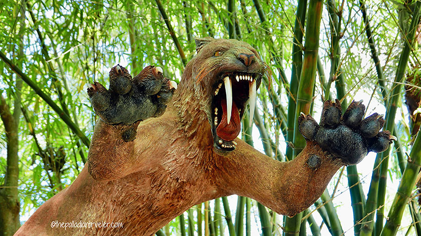 at the Australia Zoo