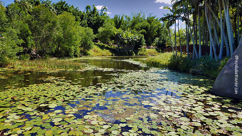 wetland