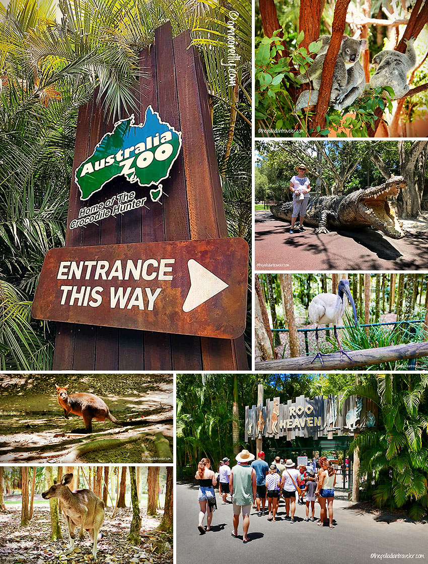 the Australia Zoo