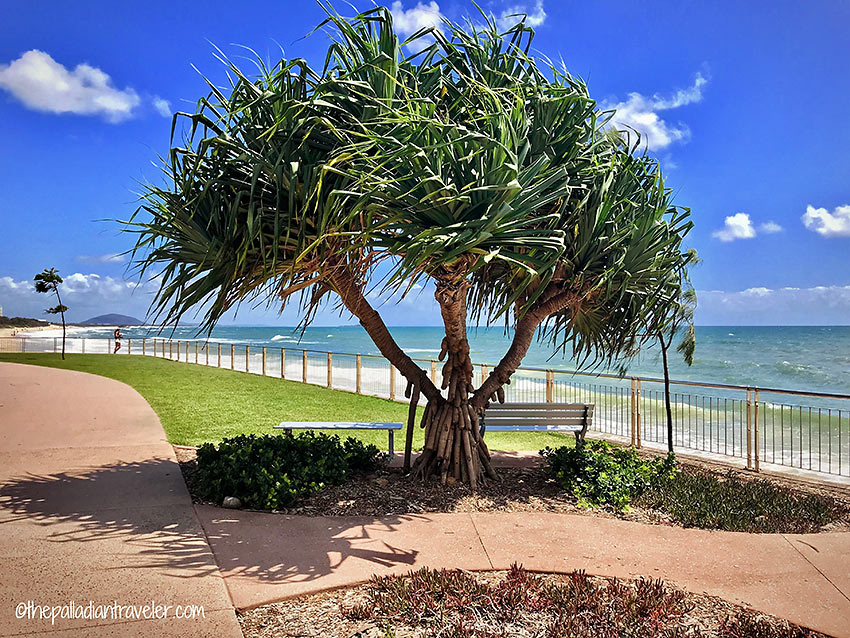 Costal Pathway scene