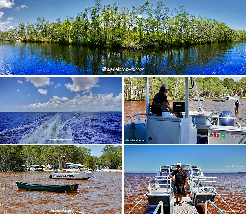 Noosa Evereglades wetland, Lake Cootharaba and boats on rust brown-colored water
