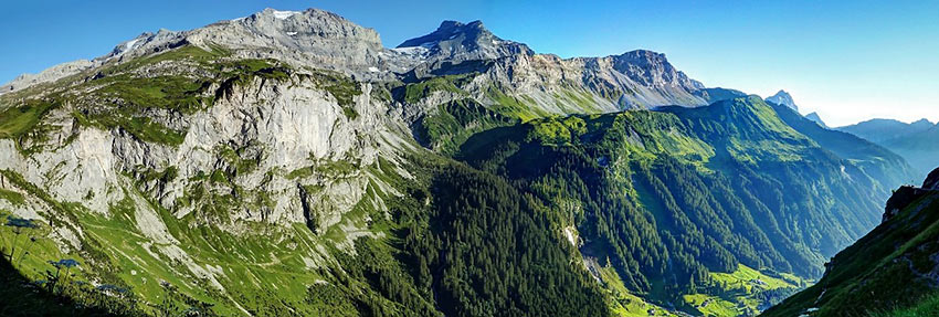 Swiss Alps