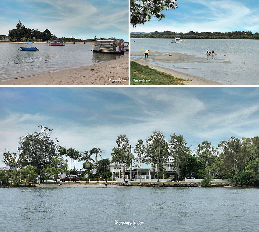 waterways cruising: the Maroochy River